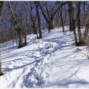 아라리쉼터 이미지