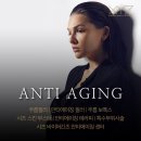 시즈(XYZ)