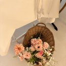 오네프스튜디오 네이버블로그