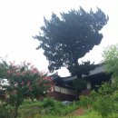 금봉리마을회관 이미지