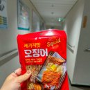 대구에서 제주도까지 차 가지고 가는 방법 차량선적비용 예약방법 삼천포 제주 배편 오션비스타