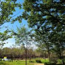 안곡습지공원 화장실 이미지