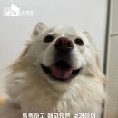 보경쉼터 이미지