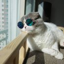 주)오송 이미지