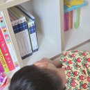 대박난집 | 돌아기 전집 추천 프뢰벨 말하기 프로그램 대박난 후기