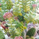 상학농장 이미지