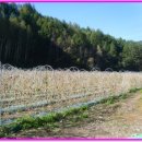 내면사무소 이미지