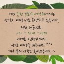 용인글로벌어학원