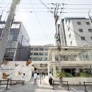 휴대용 유모차 부가부 버터플라이2 성수 팝업스토어 후기