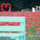 시너지원주 이미지