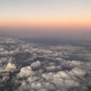 잔다냥 이천점 이미지