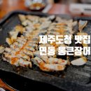 제주도청 이미지