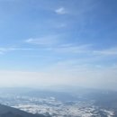 보양산염소전문점