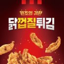 튀김이닭 네이버블로그