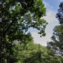 계곡&풍경 이미지