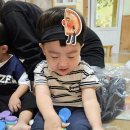 꽃이피었습니다 이미지