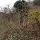 남해-280 이미지