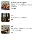 디 앨리스(The Alice)