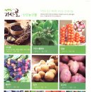 솔향기영농조합법인 이미지