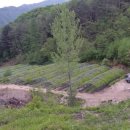 하누리 농장 이미지