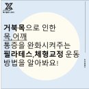 코뿔소마취통증의학과의원 이미지