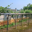 유천서원 이미지