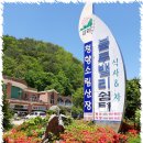 청향소림산장 이미지