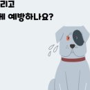 도담도담동물병원 이미지