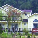 펜션비우고채우는숲 이미지