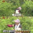 코코네 | 네.. 요즘 이러고 살아요..
