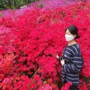 미소 신 냉면 이미지