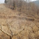 봉자농장 이미지