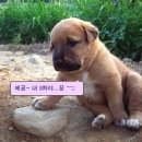 에이 이미지