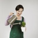 오상한의원 네이버블로그
