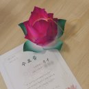 스테이 무아 이미지