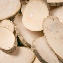 황칠사랑 이미지