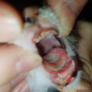 지성동물병원 이미지