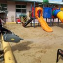 임고초교병설유치원 이미지