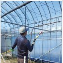 만연농장 이미지