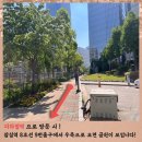 잠실역 9번출구 공원 이미지