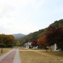 배론성지 이미지