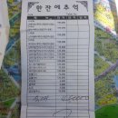 진교자