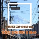 서울시계점 | 후지산 투어-렌트 Vs 버스 투어에 대해 알려드립니다.(도쿄와 하코네를 중심으로)