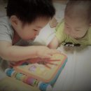 형과아우 - 서귀포시 | 형과아우