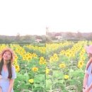 수천농장 이미지