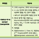 엠아이피 이미지