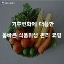 올바른식품 이미지