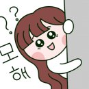 다원참치