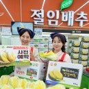 대관령원예농협 하나로마트 이미지