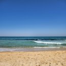 흑마염소농장 | 먹놀잠 끝판왕 강원도 동해바다 4박5일 여행기 #3-5일차/아기와 국내여행/강릉중앙시장/월화거리야시장